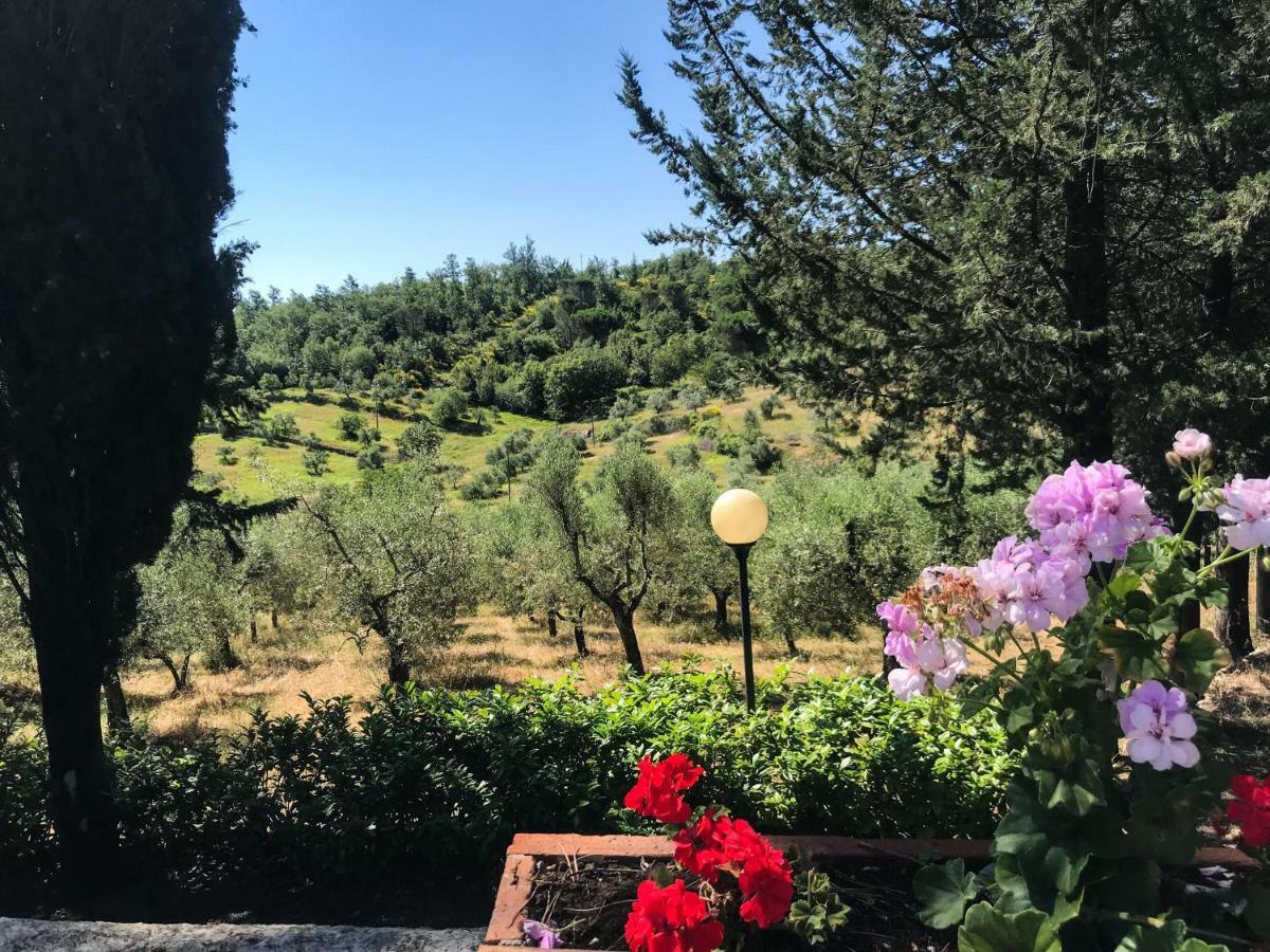 Agriturismo Testalepre Greve in Chianti Zewnętrze zdjęcie